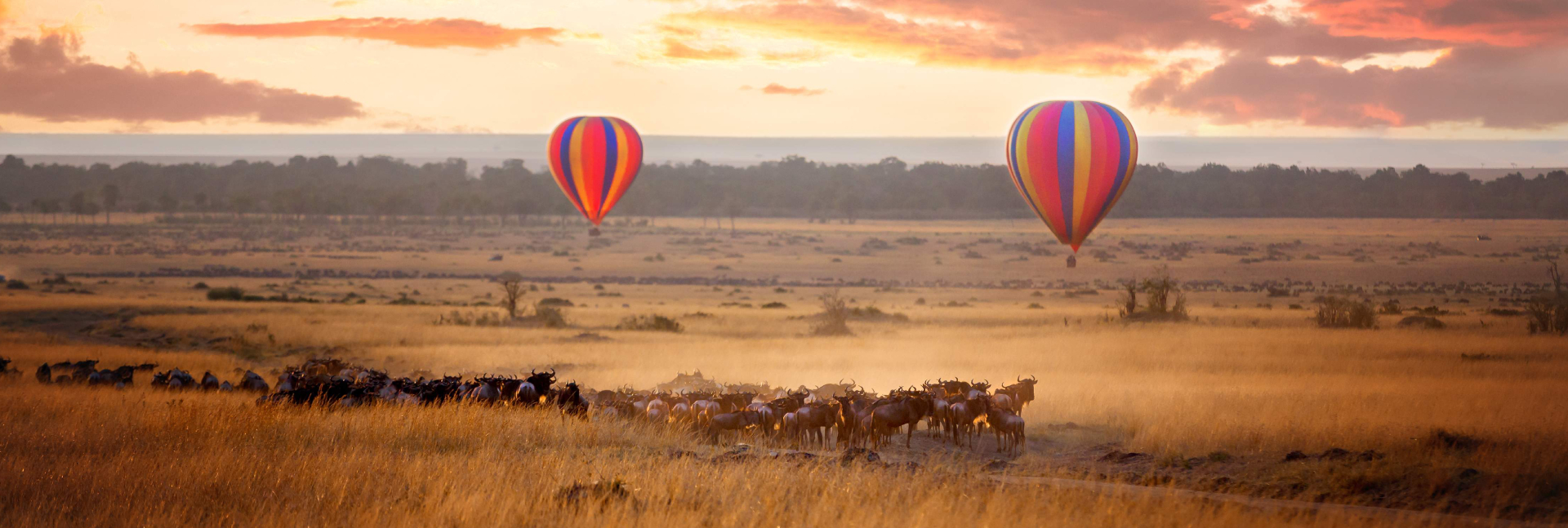 kenya safari private tours and luxury holiday