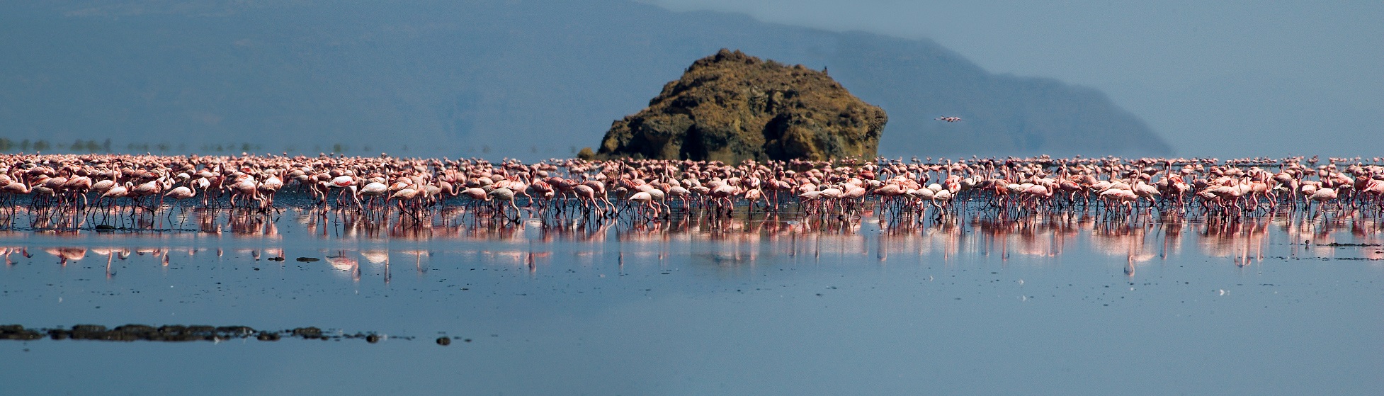 private safari tour and holiday in tanzania