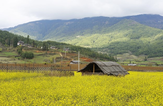 unique experiences bhutan - bumthang fields