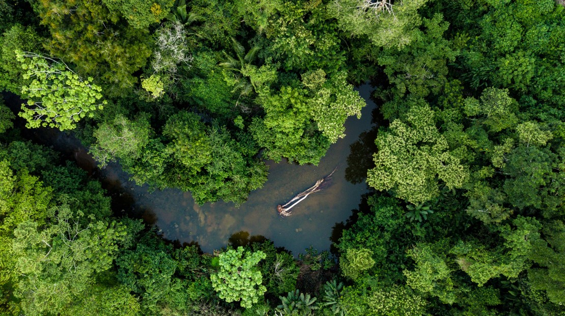 peruvian amazon adventure - Holiday in peru