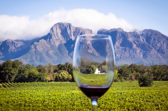 south africa holiday - cape town wine region