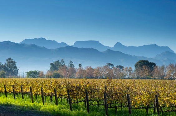 south africa luxury travel - winelands