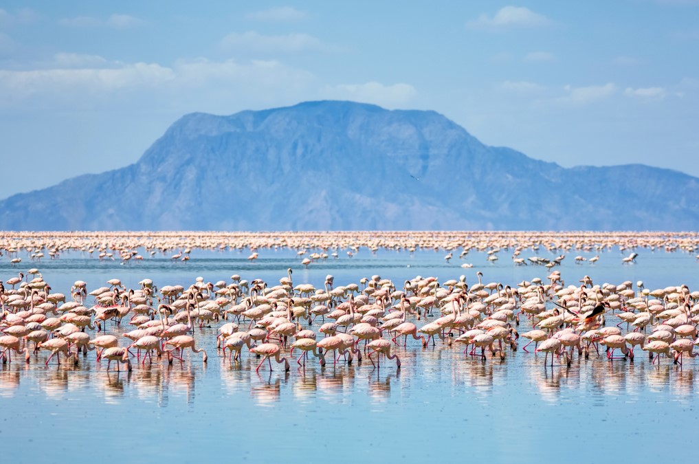 lake natron tanzania safari private tour