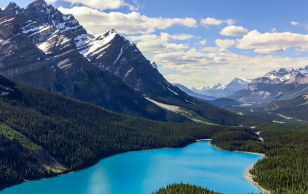 private tour to peyto lake canada