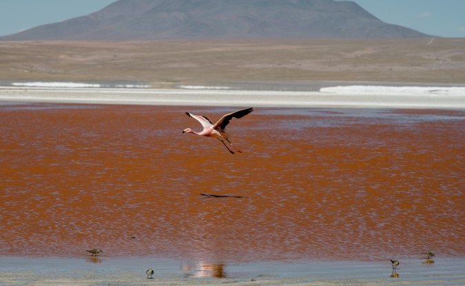 red lake natron tanzania private tour