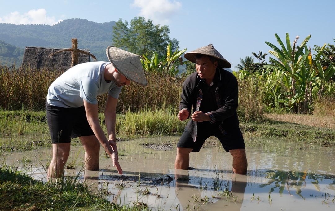 rice planting experience in luang prabang