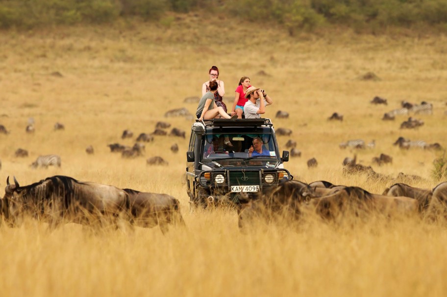 Best of Tanzania – Private Luxury Safari Tour Package & Price