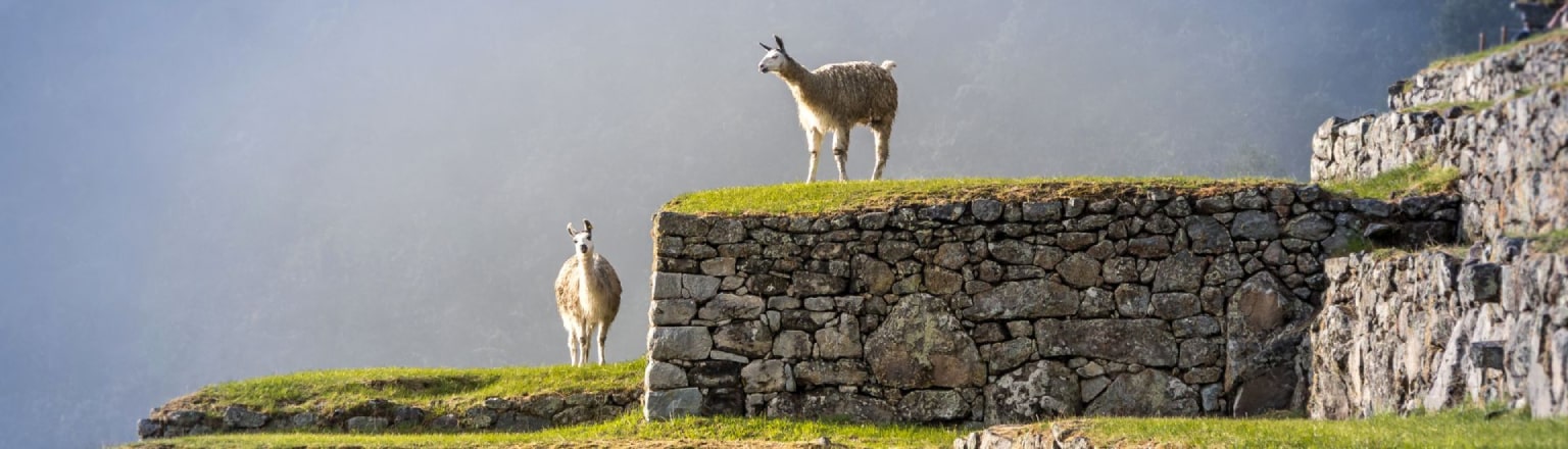 Machu Picchu Historical Tour Peru