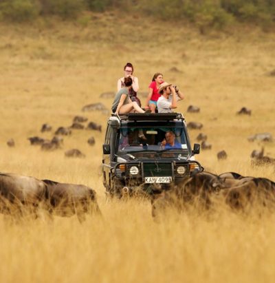 Best of Tanzania – Private Luxury Safari Tour Package & Price